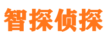 肥乡市私家侦探